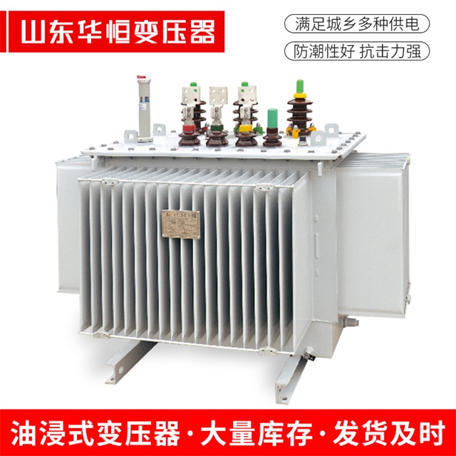 S13-10000/35玛沁玛沁玛沁电力变压器